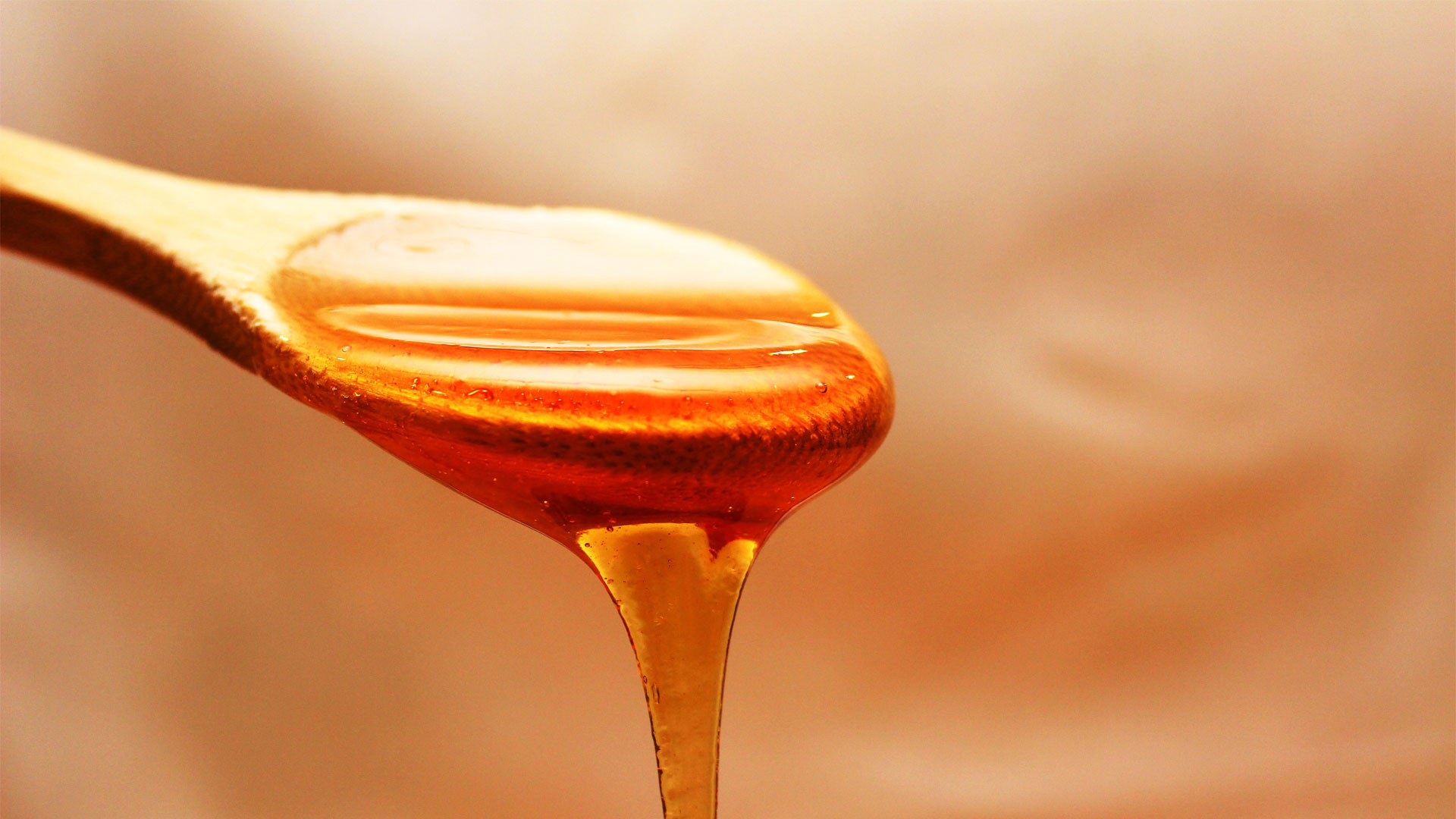 Effects of honey and sugar dressings on wound healing